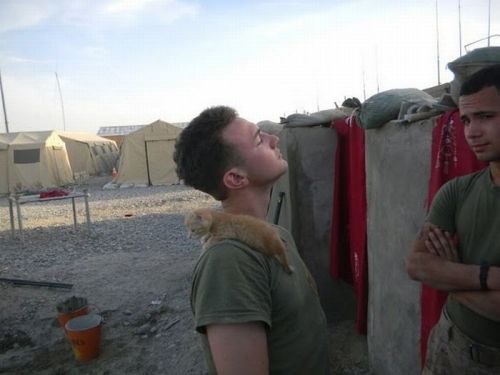 askclint:  socialsaltysailors:   Kittens rescued by US Marines in Afghanistan  But the second one.  This.  All of it. 