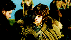lorath:  The Freys have held the crossing for six hundred years, and for six hundred