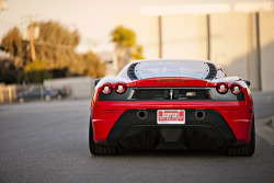 automotivated:  Sonic MS F430 Scuderia (by QuickWorksPhoto)