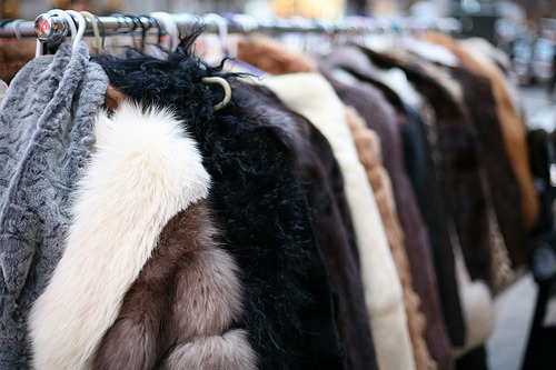 Luxury, and fashion