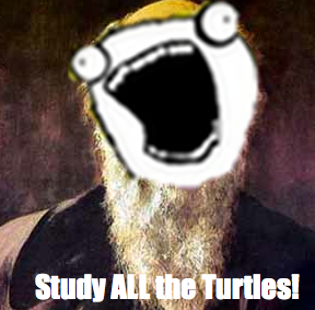 Natural Selection got you down? Just remember this guy. He is forever #darwinning after studying ALL the turtles.