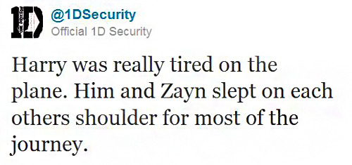 magical-hipsters:  onedirection-fathermychildren:  onedirectionismypatronus:  guydirectioners: