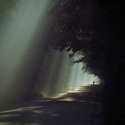 We Are The Lost And Confused But Not The Forgotten