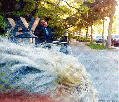 hueleachurrosbiebs:  thebieberbanana:  1dbromance:  could you get any cuter? [x]  omg niall xdfdsgfx  Forever reblog a chico mas latigable ♥ 