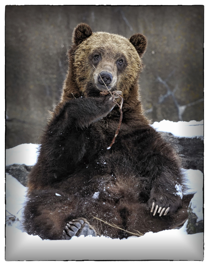 magicalnaturetour:  Tasty, indeed! by Veronique Aubois-MANN  :) 