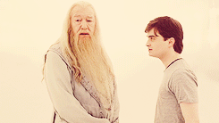  Harry, you wonderful boy. You brave, brave man. 