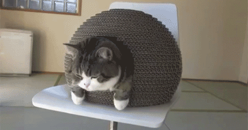 pleatedjeans:  maru and his kamakura house. [video] 