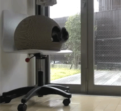 pleatedjeans:  maru and his kamakura house. [video] 