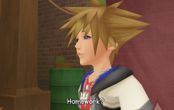 isleptpassnoon:  Yeah, Sora, the thing your