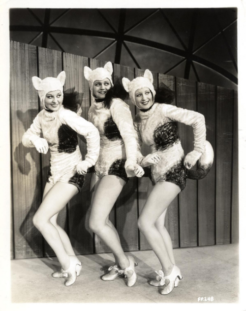 XXX dreaminparis:  Cat Girls Chorus. From 1933’s photo
