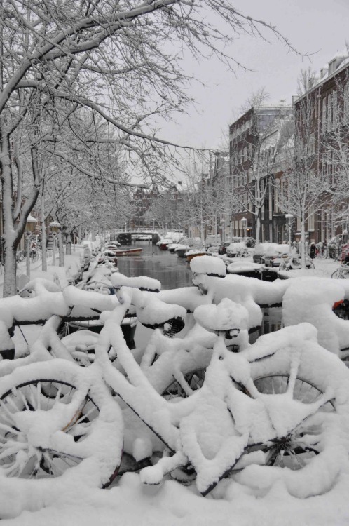 all-i-want-is-to-travel: Amsterdam, Netherlands