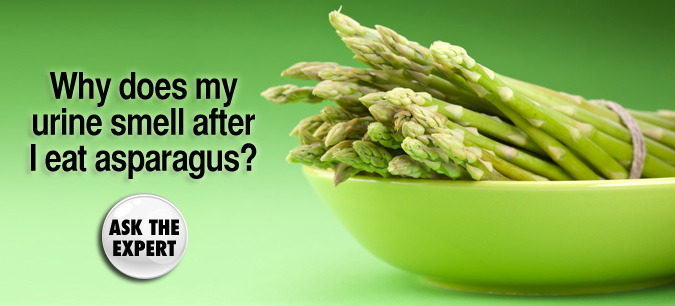Conversations — and scientific studies — revolving around the effect that asparagus has on the smell of urine has been going on for ages now. Even founding father Ben Franklin had something to say on this pressing issue of bodily fluids, noting that,...