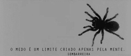 GBicalho