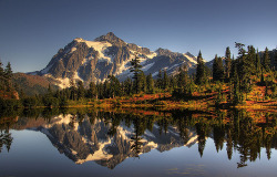 ipsloum:  Mount Shuksan Classic Autumn -