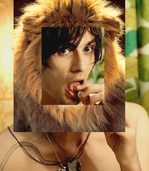 Truth be told, I miss you&hellip; Truth be told, I&rsquo;m a lion.