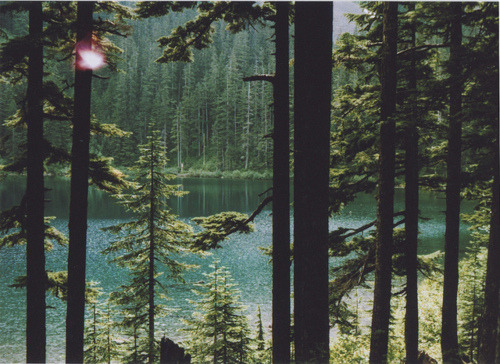 _________________________