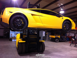 automotivated:  texas oil change (by eGarage.com)