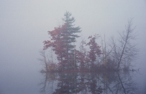 Island in the Mist by g.bremer on Flickr.