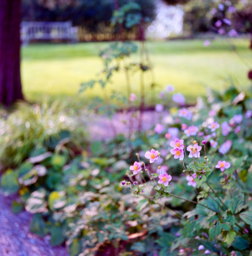 You Will Be Like a Well Watered Garden by g.bremer on Flickr.