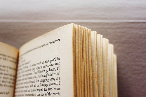 Porn 4mbivalent:  To Kill a Mockingbird (by HattieGrace) photos