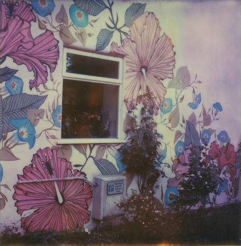 -polaroid:  Glastonbury, August 13th, 2010 (by The Gentleman Amateur)     