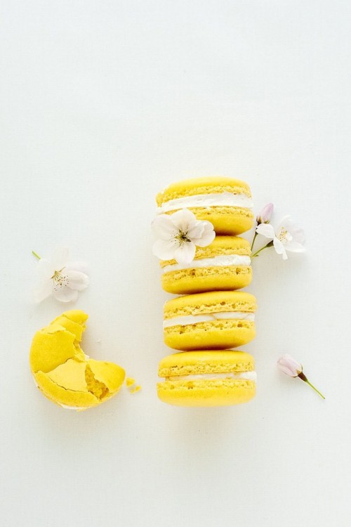 Guaranteed to be the most beautiful blog you’ve ever had on your dash.