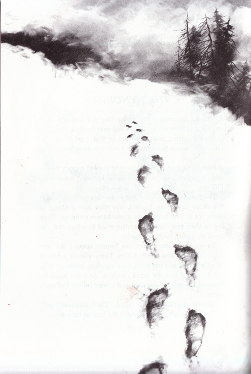 Stephen Gammell, The Wendigo. From Scary Stories to Tell in the Dark.
Related: this wonderfully creepy story by Norman Partridge about a Wendigo-like creature. The Hollow Man.