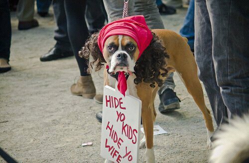 thatfunnyblog:  Funny Stuff you like?