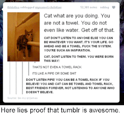 i seriously hate when people do social media wars but honestly tumblr &gt; &gt; &gt; &gt; &gt; &gt; &gt; &gt; &gt; &gt; &gt;