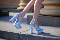 e-l-o-p-e:  miumiu<3  los quiero, tanto