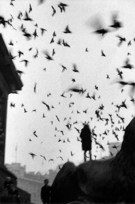 Sergio Larraín. London, 1959