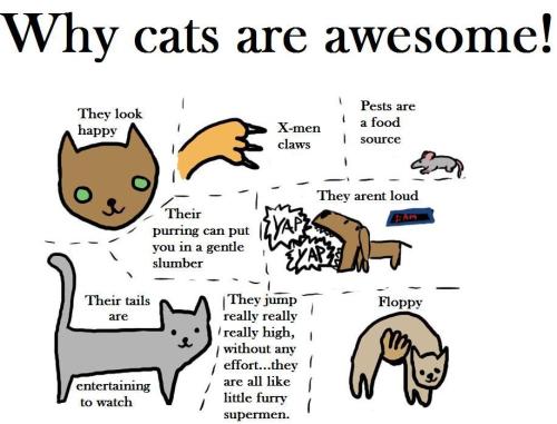yoshikianon:  ooc: All the reasons I own 4 cats… 