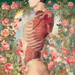 electrikthunder:  Anatomic Collages from