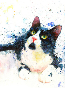 catartprints:  &ldquo;Tuxedo Cat&rdquo; Fine art print from original watercolor painting. 