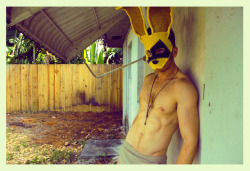 boygaga:  “Rabbit Regimen” by Alexander