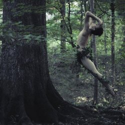 Faerie in the forest