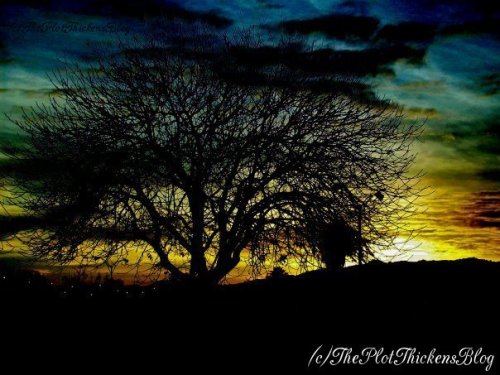 I Took This In Around 2009 And Edited It At School In My Digital Photography Class.