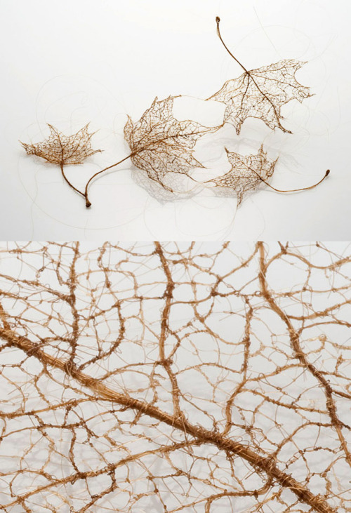 thisiscolossal.com Sculptor and installation artist Jenine Shereos creates delicate, near weightless tree leaves by tyin