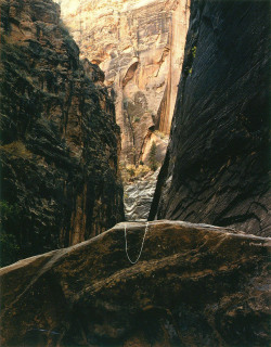 Canyon Point, Zion National Park, Utah photo