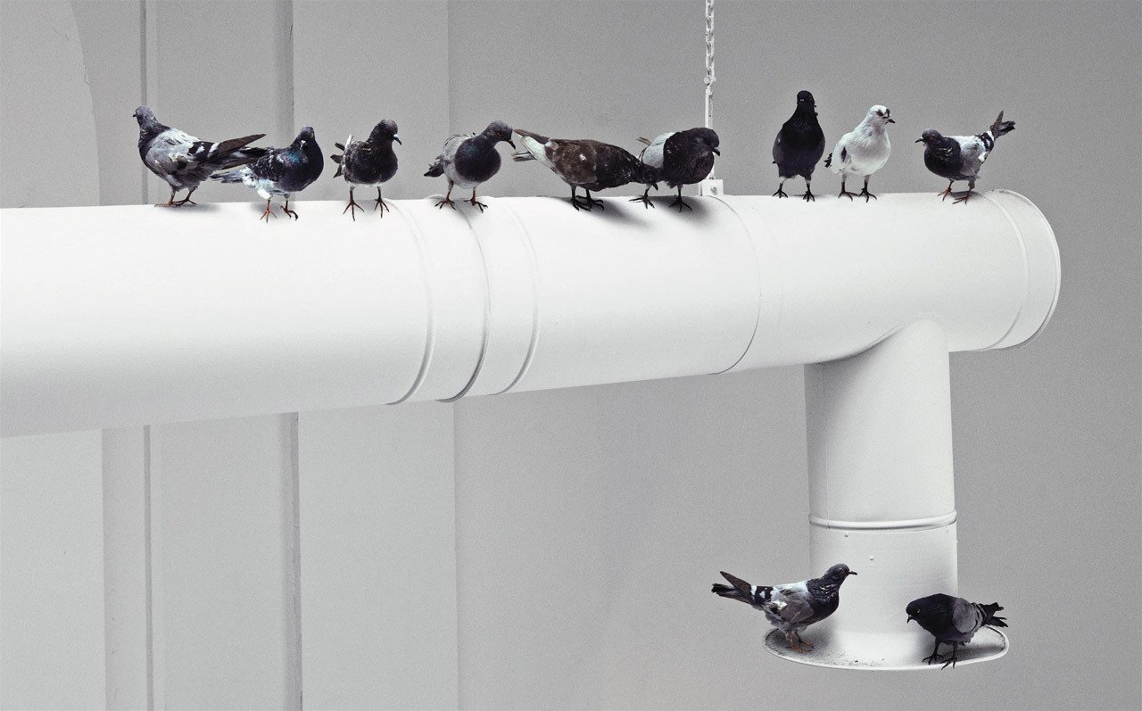Others installation by Maurizio Cattelan; photo by PierPaolo Ferrari, 2011 more: