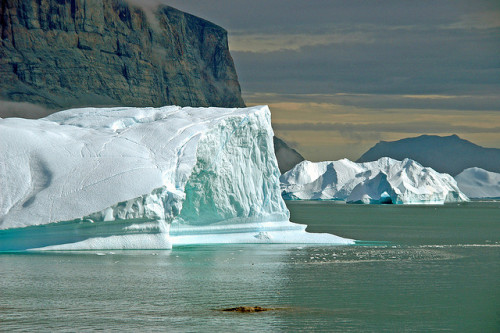 by _Zinni_ on Flickr.Icebergs near Uummannaq, North Greenland.