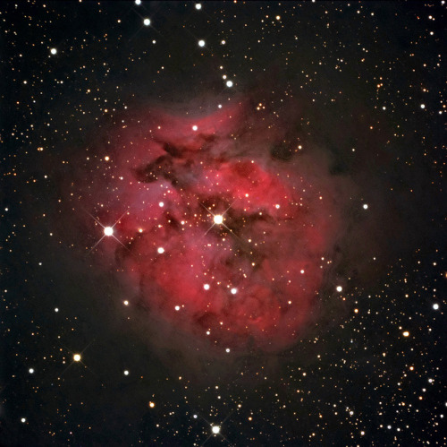 Cocoon Nebula