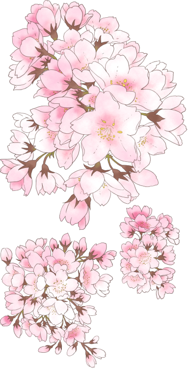lunacide:桜