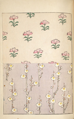 Lesfoudres:  (Via Smithsonian Institution Libraries : Vol. 1 - Pink Blossoms On