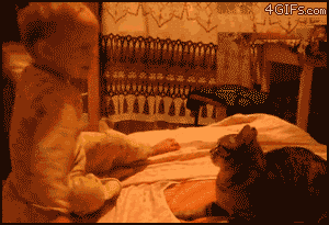 yourdemonlover:  kawaii-scum:  ahahahahahahahahahahahaha  teaches kids not to hit