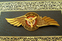 steampunkfinds:  Aviator pin with an antique