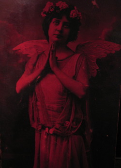 5handscuriosities:  Crimson Angel Photograph