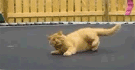 Estar brincando en un trampolin, te caes y quieres levantarte: