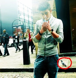 zaynmalikx:  KEVIN!! no Way!!!! 