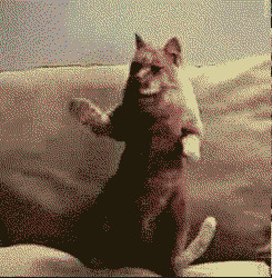 Reblogue se você ja tentou passar trote, e quando a pessoa atendeu você desligou porque entrou em pânico.